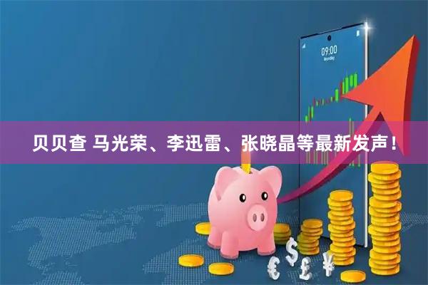贝贝查 马光荣、李迅雷、张晓晶等最新发声！