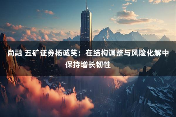 尚融 五矿证券杨诚笑:在结构调整与风险化解中保持增长韧性