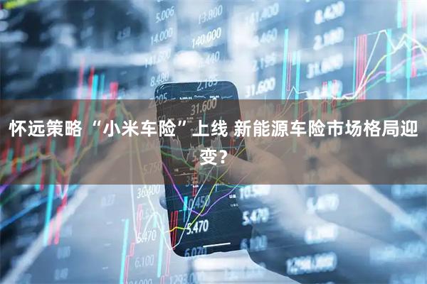怀远策略 “小米车险”上线 新能源车险市场格局迎变？