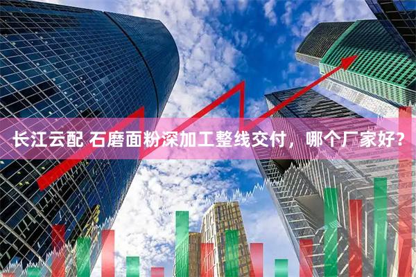 长江云配 石磨面粉深加工整线交付，哪个厂家好？