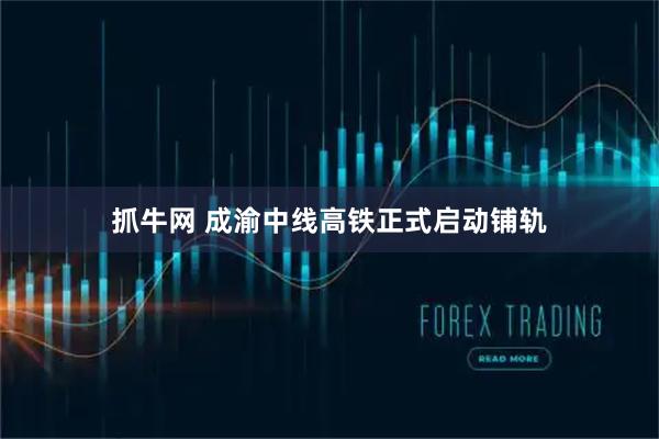 抓牛网 成渝中线高铁正式启动铺轨