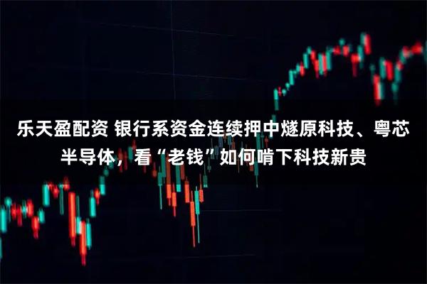 乐天盈配资 银行系资金连续押中燧原科技、粤芯半导体，看“老钱”如何啃下科技新贵