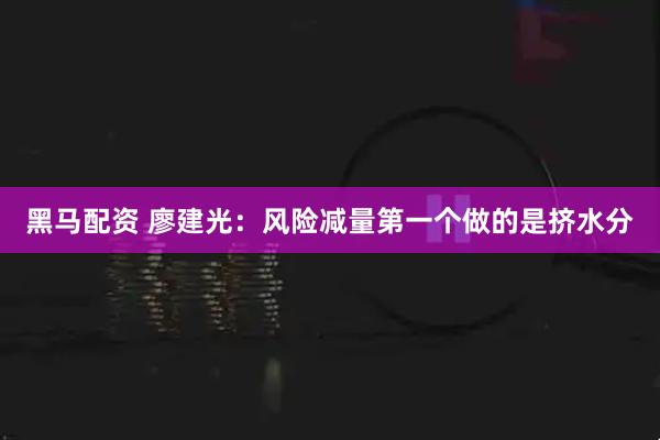 黑马配资 廖建光：风险减量第一个做的是挤水分
